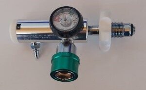 Oxygen Regulator Bull Nose, Dual Output