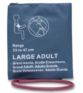 BP Cuff, Single Tube with Bladder, Large Adult
